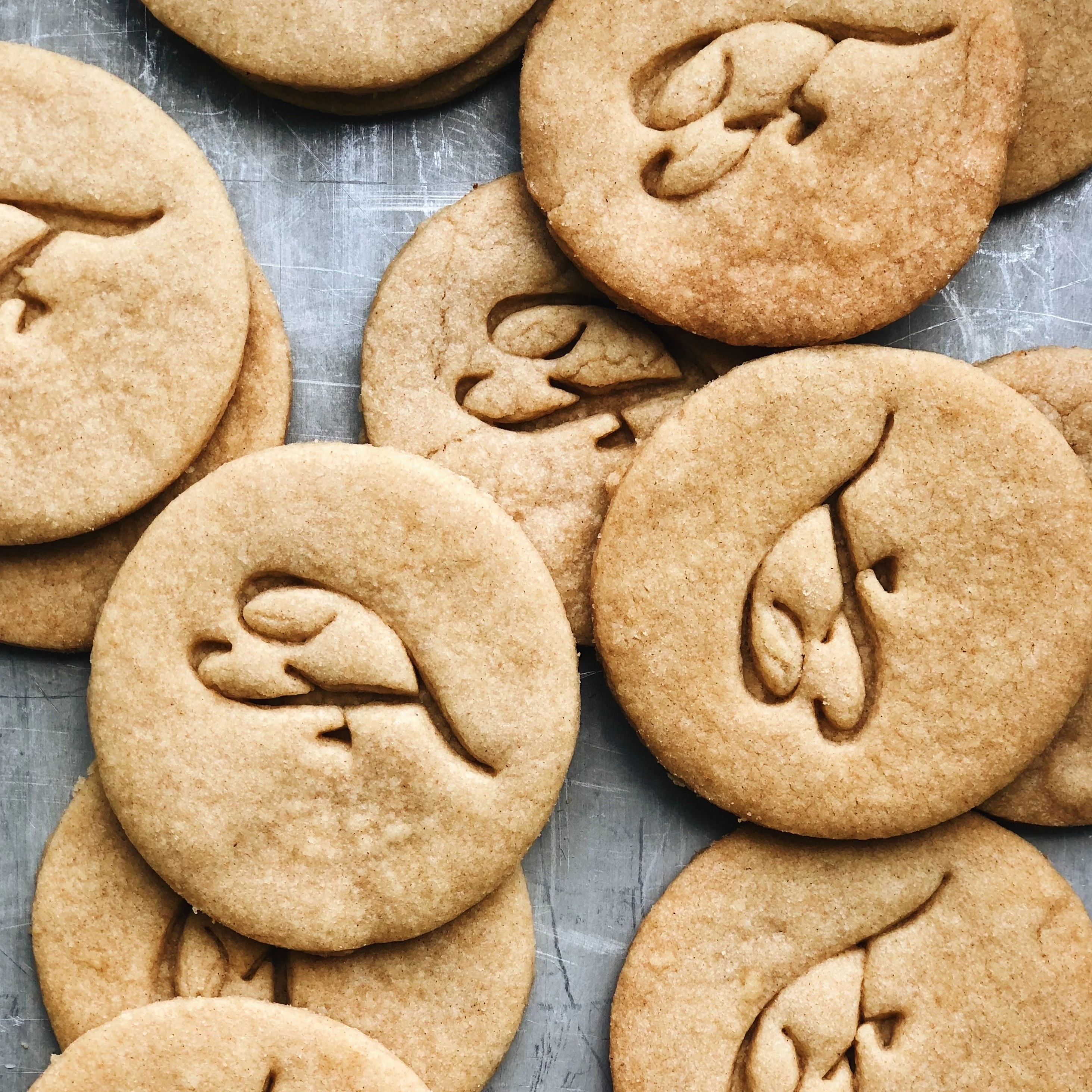 Organic Sifted Spelt Flour - Image 3