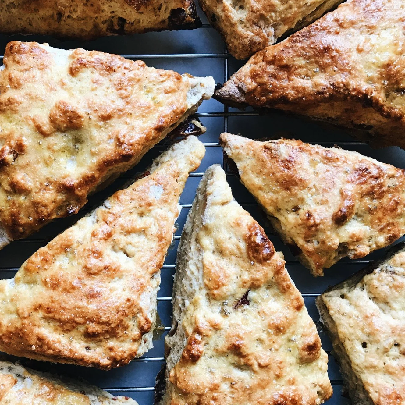 Organic Whole Grain Spelt Flour - Image 3