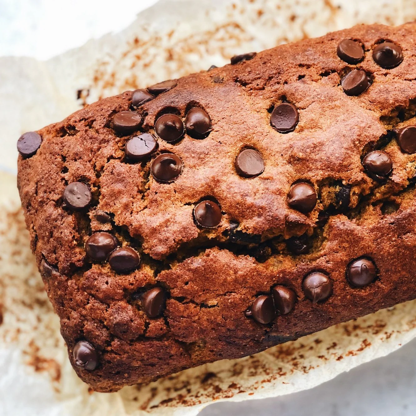 Organic Whole Grain Red Fife Flour - Image 3